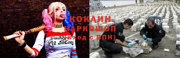 амф Осташков