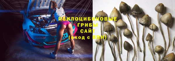 амф Осташков