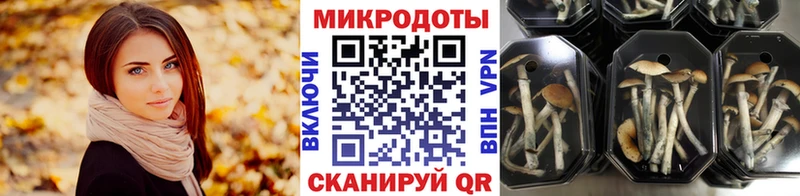 Галлюциногенные грибы Magic Shrooms  Беломорск 